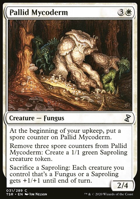 Pallid Mycoderm